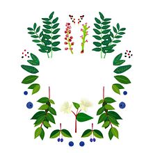 Portada Tesis Doctoral. Een project van Traditionele illustratie van María León - 04.06.2018