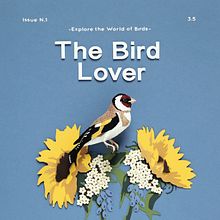 The bird lover. . Un progetto di 3D, Scenografia, Scultura, Illustrazione tradizionale e Papercraft di Diana Beltran Herrera - 10.06.2018