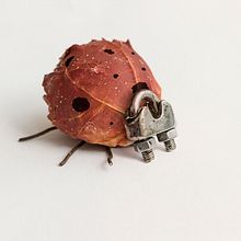 Renéixer, un delicioso vino ilustrado por Patossa. Un progetto di Fotografia, Illustrazione tradizionale, Pubblicità e Collage di Patossa (Patrícia Barrachina) - 19.06.2018