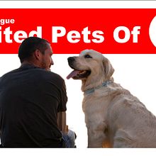 Mi Proyecto del curso: Creatividad publicitaria para todos los públicos. Publicidade projeto de Eduardo Maza - 23.06.2018