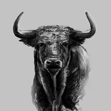 Toros. Projekt z dziedziny Ilustracja c i frowa użytkownika Juan Javier Sepúlveda - 06.06.2017