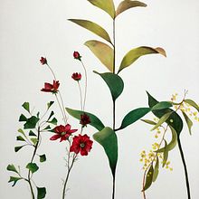 L a   G l o r i a  Gijón Ein Projekt aus dem Bereich Innendesign, Traditionelle Illustration und Malerei von Patricia Sanjuán - 25.06.2018