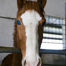 Mi Proyecto del curso: Producción y edición de vídeo con cámara DSLR y Adobe Premiere. Projekt z dziedziny Film użytkownika Pili Zozaya - 27.06.2018