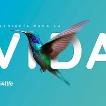 i4life. Imagen corporativa. Br, ing, Identit, and Graphic Design project by Manuel Persa - 06.27.2018