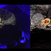 Coves del Salnitre. 3D, 2D Animation, 3D Animation, Graphic Design, 3D Modeling, and Motion Graphics project by Javier - 06.28.2018
