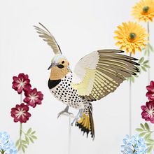 Northern flicker. . Un progetto di 3D, Animazione di personaggi, Scenografia e Papercraft di Diana Beltran Herrera - 30.06.2018