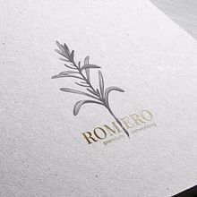 Branding Premium Networking. Br, ing, Identit, Graphic Design, and Web Design project by Eva Puyal - 05.23.2018