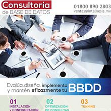 Newsletter de Consultoría de base de datosNuevo proyecto . Dezvoltare web, Design web și UX / UI de Mangel Squin - 07.03.2018