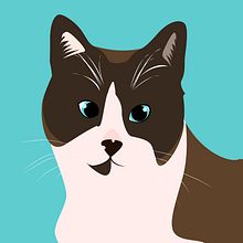 Illustration. Portrait. Digital Illustration, and Traditional illustration project by Marco Barneto - 07.03.2018