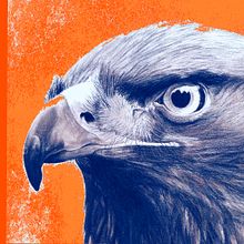 Aguila en Sepia. Fine Arts, Drawing, and Pencil Drawing project by Tañedo - 07.04.2018