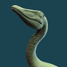 Compsognathus - Jurassic Park: The Lost World.. Un progetto di Character design e Modellazione 3D di Ciro Contreras - 05.03.2018
