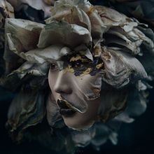 Flower series. Creativit, Digital Illustration, and Photo Retouching project by Flo Tucci - 04.04.2018
