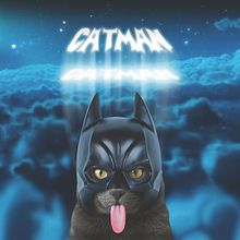 Packaging bombones Catman Delices by Escribà Barcelona. Un proyecto de Diseño gráfico, Ilustración digital, Packaging y Retoque fotográfico de jordi ferrandiz - 06.07.2018