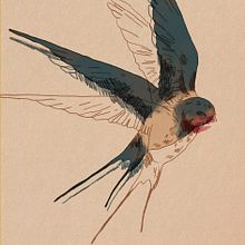 Ilustración del libro autoeditado "Por si quieres pasar: Radiografía de un alma". Un proyecto de Ilustración tradicional de Carolina Veciana - 06.07.2018