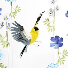American goldfinch. . Un progetto di 3D, Animazione, Character design, Scenografia e Papercraft di Diana Beltran Herrera - 08.07.2018