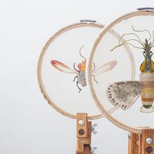 Selección para la Bienal de Bratislava. Fine Arts project by Gimena Romero - 02.15.2018