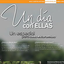 [Web Design] Escaramuzas del Sureste. Un progetto di Web design di Jesús Chan Braga - 10.07.2018