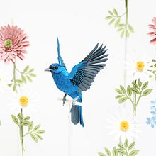 Indigo bunting. . Un progetto di 3D, Animazione, Character design, Scenografia e Papercraft di Diana Beltran Herrera - 10.07.2018