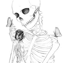 RENACER. Traditional illustration project by Laura Martín Torres - 08.10.2015