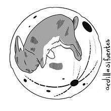 Diseños circulares. Un projet de Br, ing et identité, Design , Illustration traditionnelle et Illustration numérique de Alex Sifuentes - 23.07.2018