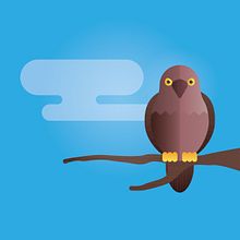 Ilustraciones para guía natural infantil-juvenil. Traditional illustration, Digital Illustration, and Vector Illustration project by Jesús Ángel Ciarreta Palacios - 03.25.2015