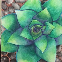 algunas ilustraciones en acuarela que he hecho previo al curso.  . Menggambar proyek oleh Camila Maluenda - 07.27.2018