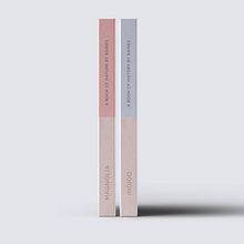 BAINES BOOKS. Un projet de Design , Conception éditoriale, Lettering, T , et pographie de Raquel Marín Álvarez - 15.11.2020