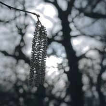 Director // Vals Perenne - Cortometraje documental. Un progetto di Cinema e Cinema, video e TV di Gabriel Pout Lezaun - 20.03.2016