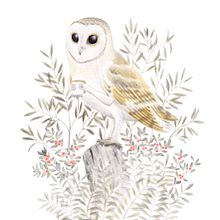 Aves. Un progetto di Illustrazione tradizionale di Mar Villar - 01.10.2017