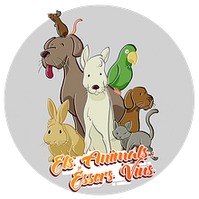Campaña: Els Animals: Éssers Vius. Un proyecto de Dibujo, Diseño, Educación, Eventos e Ilustración digital de Punts suspensius ilustración y diseño - 02.08.2018