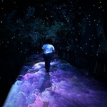 Mi Proyecto del curso: Secretos del fotomontaje y el retoque creativo. Photograph project by Victoria América Hernández Rendón - 10.31.2018