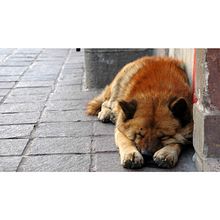 Mi Proyecto del curso: Creatividad publicitaria para todos los públicos. Een project van  Reclame van Joshebeth Ortega - 09.08.2018