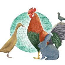Mi Proyecto del curso: Ilustración digital con lápices de colores. Fine Arts, Artistic Drawing, and Digital Illustration project by Alba Herrero - 01.11.2018