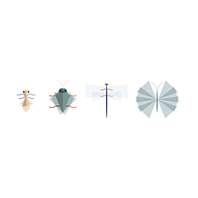 Fashion Bugs. Concept Art project by Aina Gomez Egusquiza - 01.22.2018