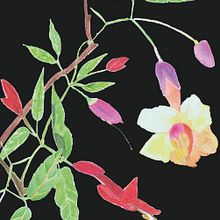 Mi Proyecto del curso: Ilustración botánica con acuarela Ein Projekt aus dem Bereich Zeichnung von San Dra - 15.11.2018
