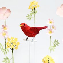 Summer tanager . Un progetto di 3D, Artigianato, Belle arti, Scenografia, Illustrazione tradizionale e Papercraft di Diana Beltran Herrera - 15.08.2018