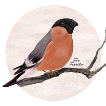Pajarillo Ein Projekt aus dem Bereich Digitale Illustration von Fernanda Ferriño Lucero - 17.08.2018