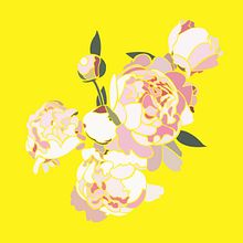 Peonies. Street Art, Creativit, Traditional illustration, Digital Illustration, and Vector Illustration project by Diana Carmona - 08.14.2015