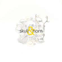 skuls & horns. 3D, Concept Art, Art Direction, Product Design, and Digital Illustration project by Cristian Rivas - 08.23.2018