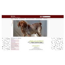 2013 - Asociación RECAL. Un proyecto de Diseño Web de Isa Garcia - 27.08.2018