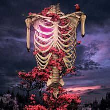 Portafolio. Un progetto di Ritocco fotografico di Jorge Diez Recio - 27.08.2018