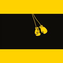 MOTION GRAPHIC - Logo Animation: Brooklyn fitboxing. Animation, 2D Animation, Motion Graphics, Photograph, Post-production, and Video project by Noelia Marín Miguel - 03.24.2017