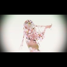 DOUBLE EXPOSURE VIDEO IN PREMIERE PRO. Animation, Photograph, Post-production, and Video project by Noelia Marín Miguel - 08.28.2018