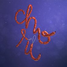 Chori Lettering Project. Projekt z dziedziny 3D, Animacje 3D, Concept art, Cop, writing, T, pografia i  Modelowanie 3D użytkownika Manuel Alfaro Guerrero - 29.08.2018