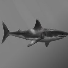 Great White. Un projet de Illustration numérique, Art conceptuel , et Dessin artistique de Carlos Arriaga - 02.09.2018