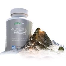 PALEO LIFE. 3D project by Octavio Montiel De Bona - 09.02.2018