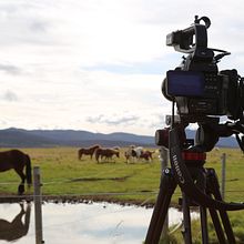 The Mythic Guide To Iceland . % Virginia Fuentes tarafından hazırlanan Film, Yaratıcı Danışmanlık, Ve Yaratıcılık projesi - 11.01.2017