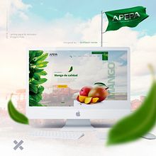 APEPA - Re Diseño de Web / Landing - Frutos Orgánicos. Projekt z dziedziny Tworzenie stron internetow, ch, Design, Web design i UX / UI użytkownika Gustavo Yucra - 06.09.2018