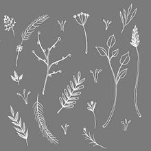 Botanical Pattern . Traditional illustration project by Maria Villa - 09.26.2018