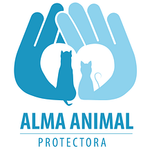 Identidad corporativa de una Protectora Animal. Un proyecto de Diseño y Diseño gráfico de Esperanza Ros Cava - 17.06.2018